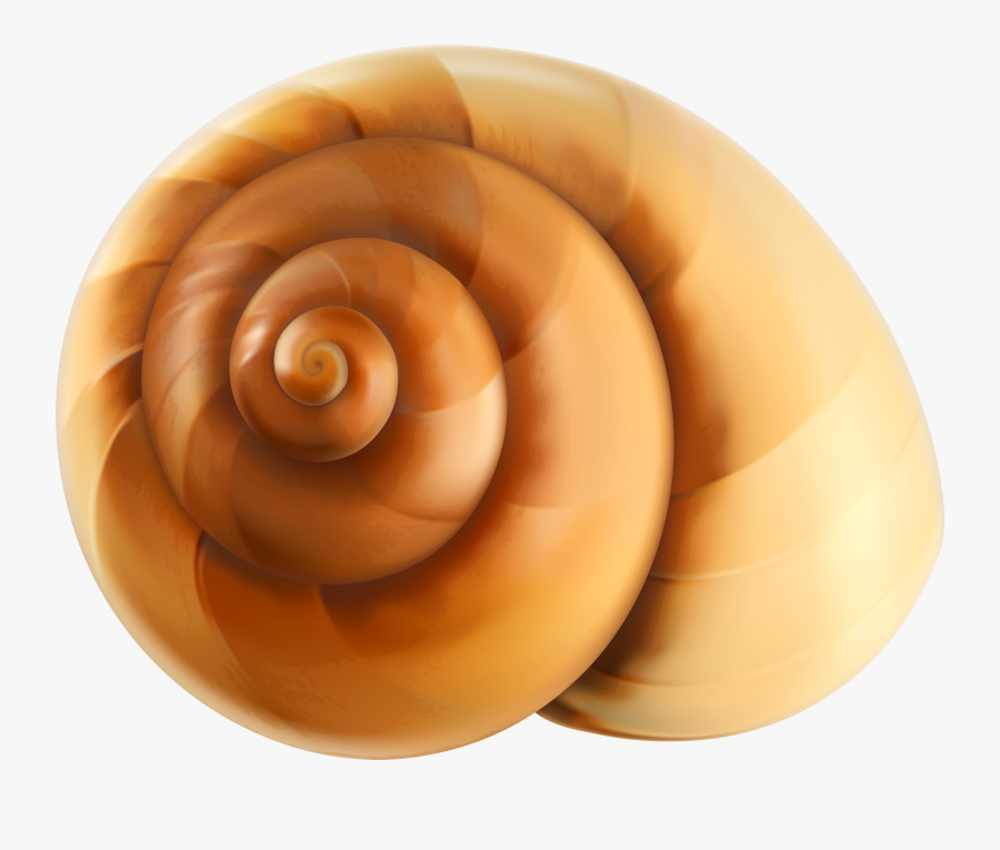 Snail Clipart Shell Snail - Snail Shell Png, Transparent Clipart