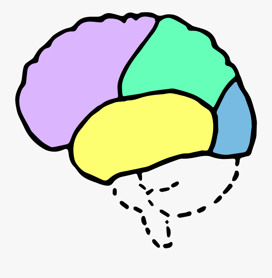 Psychology Brain Clipart - Lange En Korte Termijn Geheugen, Transparent Clipart