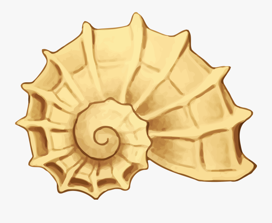 Sea Shell Clip Art Png, Transparent Clipart