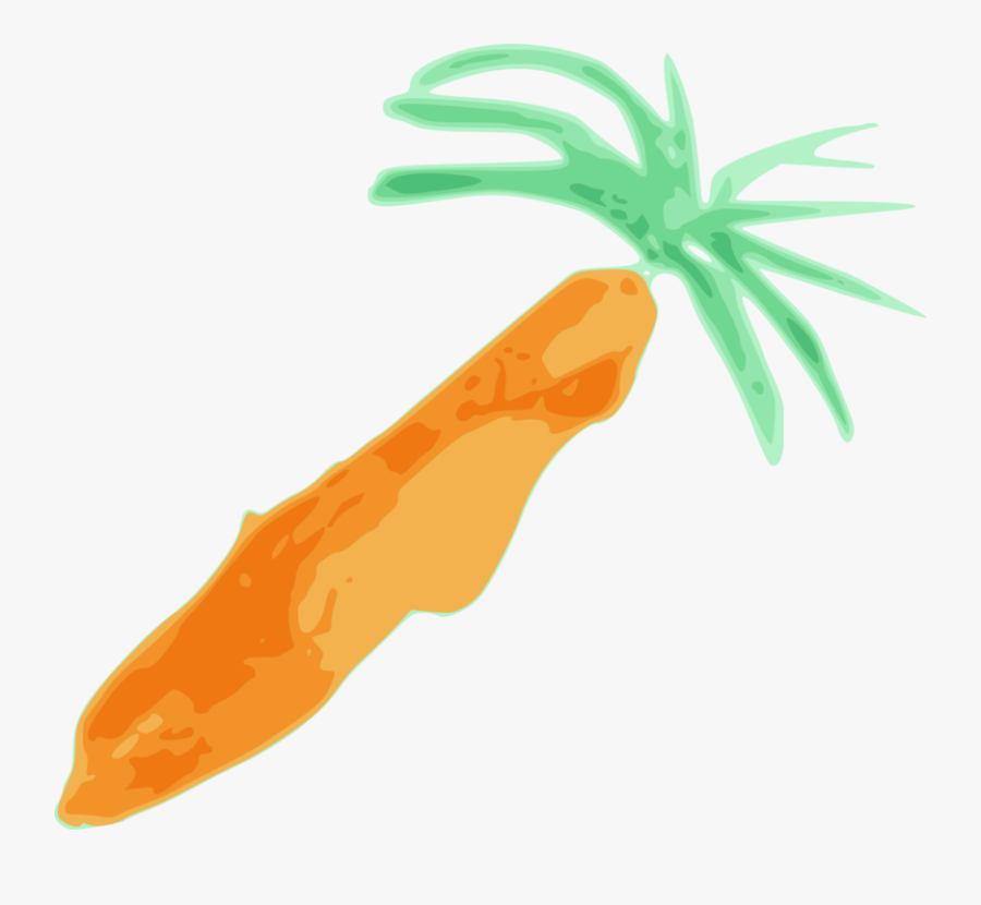 Food,carrot,vegetable - Carrot, Transparent Clipart
