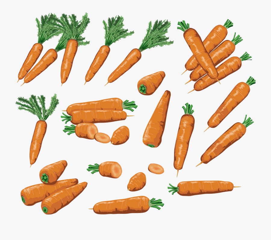 Carrot Clipart, Transparent Clipart