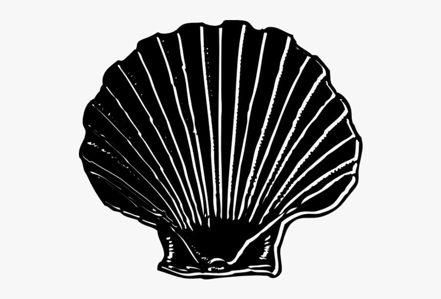 Seashell Png Clipart Image For Download - Hot Air Balloon, Transparent Clipart