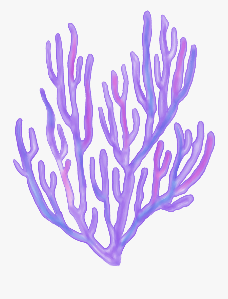 Shell Clipart Glitter, Transparent Clipart