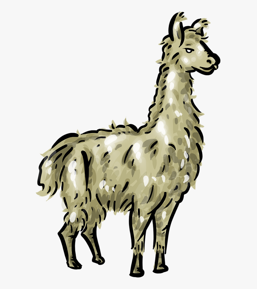 Llama Clip Art Cartoon Free Clipart Images 3 Image - Transparent Llama Clip Art, Transparent Clipart