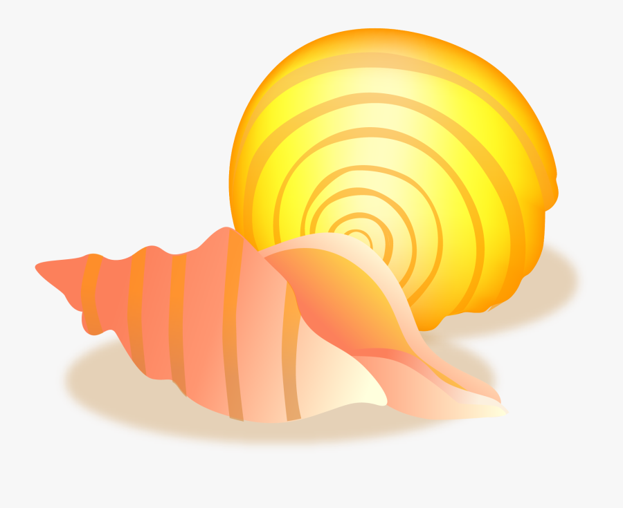 Yellow Clipart Seashell - Vỏ Ốc Biển Vector, Transparent Clipart