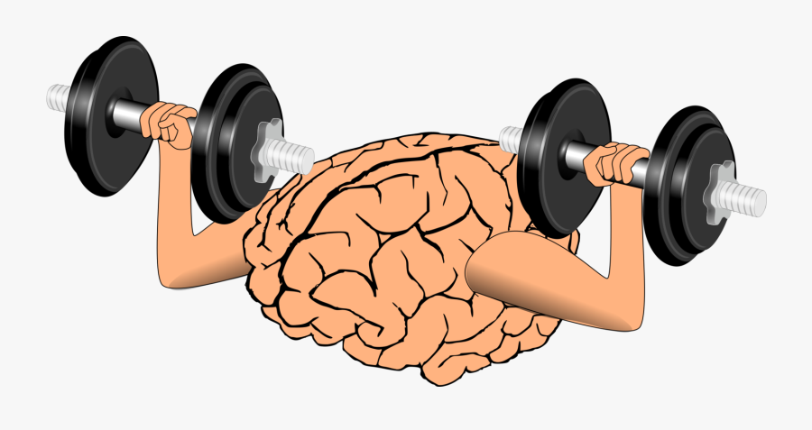 Improve Your Memory Course Image - Brain Weight Lifting, Transparent Clipart