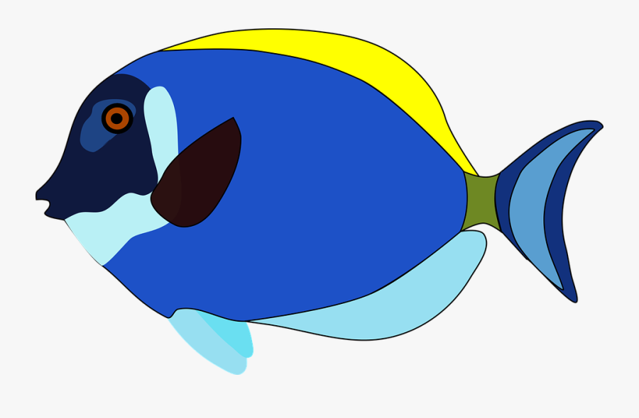 River Cliparts 14, Buy Clip Art - Cartoon Fish Clipart Png, Transparent Clipart