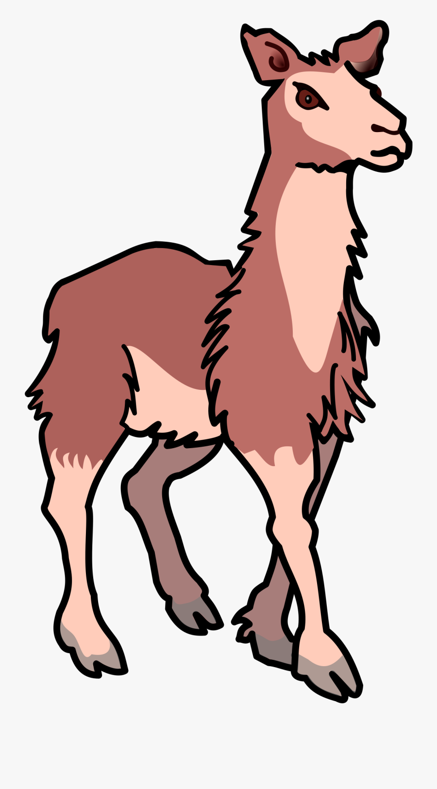 Llama Free To Use Cliparts - Llama Clipart No Background, Transparent Clipart
