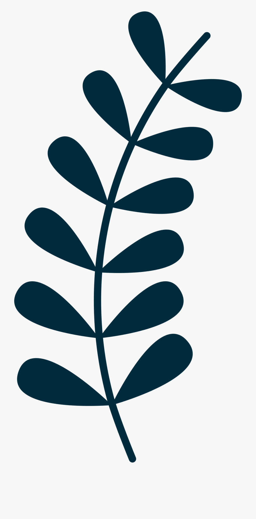 Vine Big Image Png - Simple Leaf Vine Drawing, Transparent Clipart