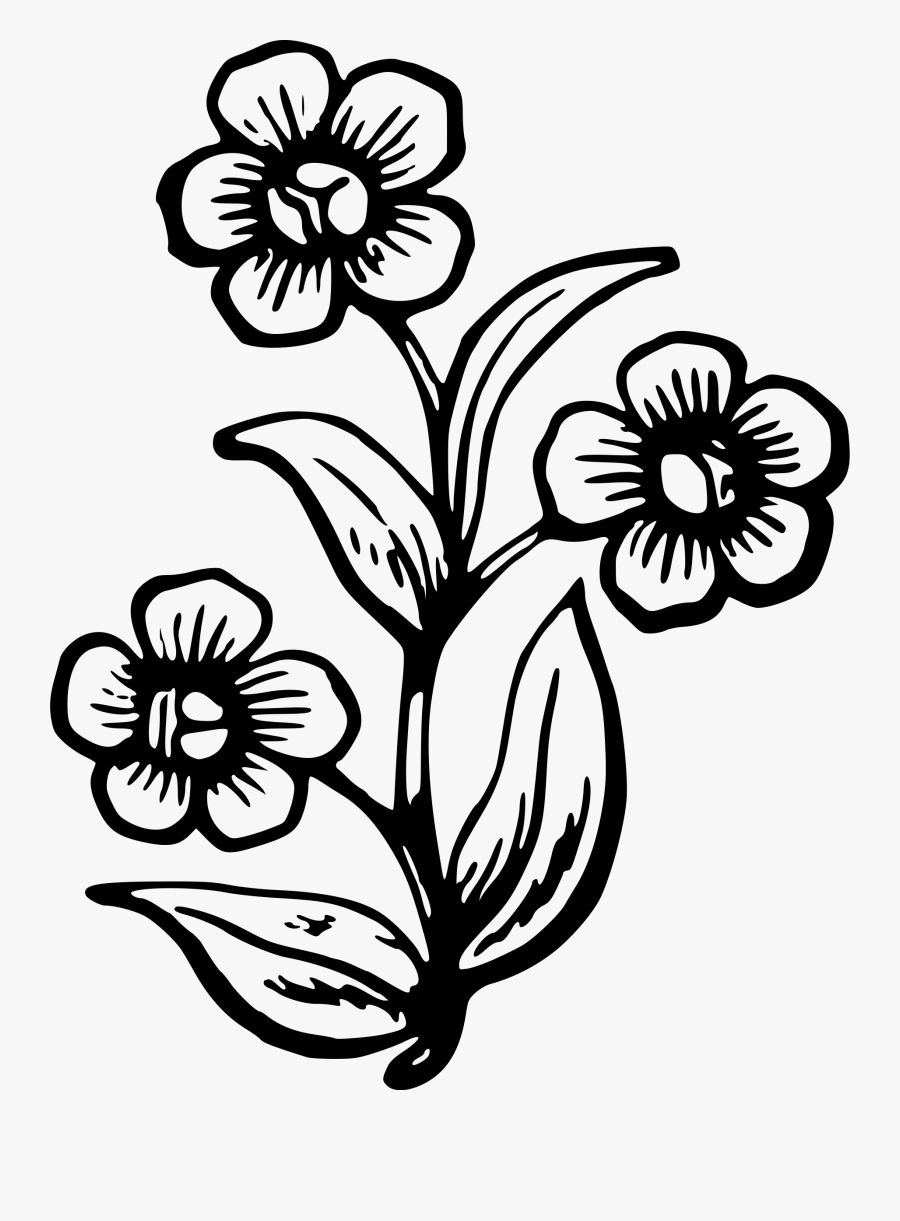 Big Flower Drawing At Getdrawings - Big Flower Easy Drawing, Transparent Clipart