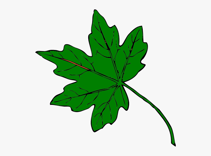 Clip Art September Leaves Clipart - Green Clipart Leaf, Transparent Clipart