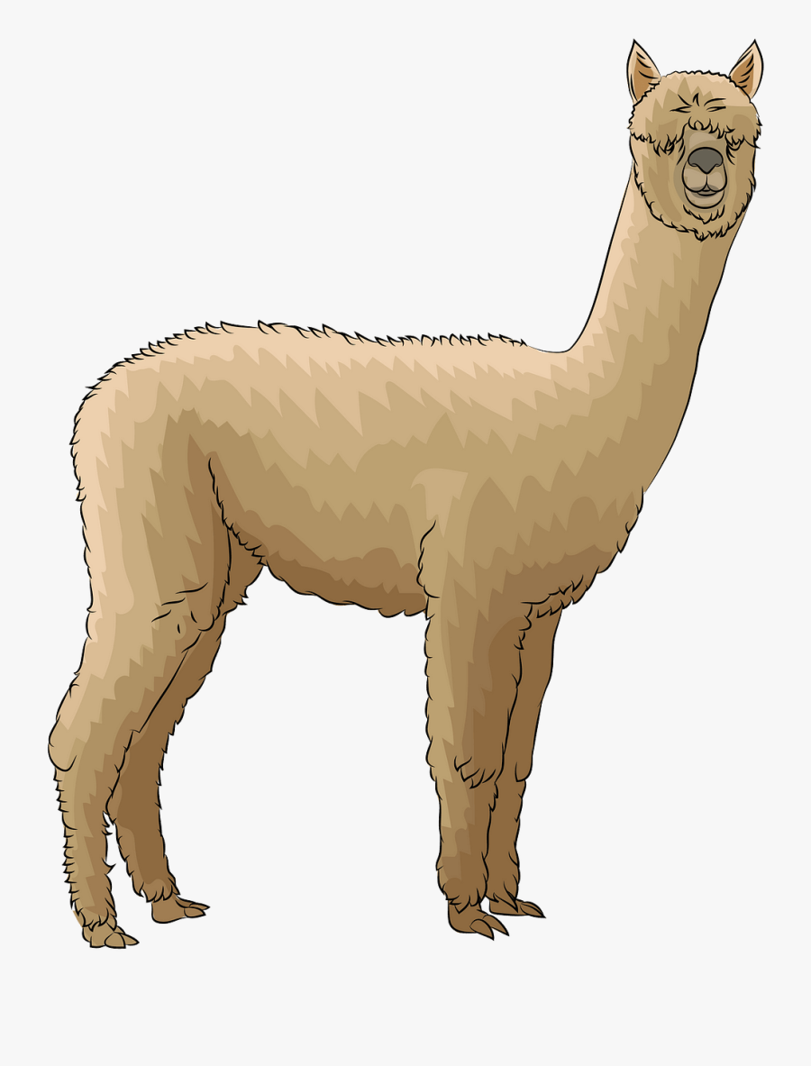 Cat Yawns, Transparent Clipart