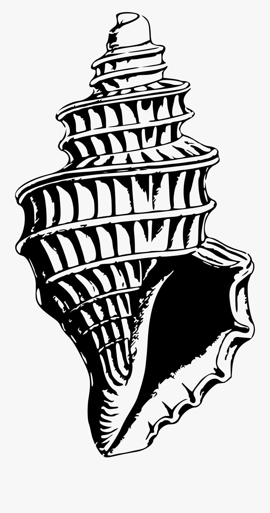 Clipart Seas Shell Png Seashell Clipart Pdf - Sea Shells Drawn In Black, Transparent Clipart