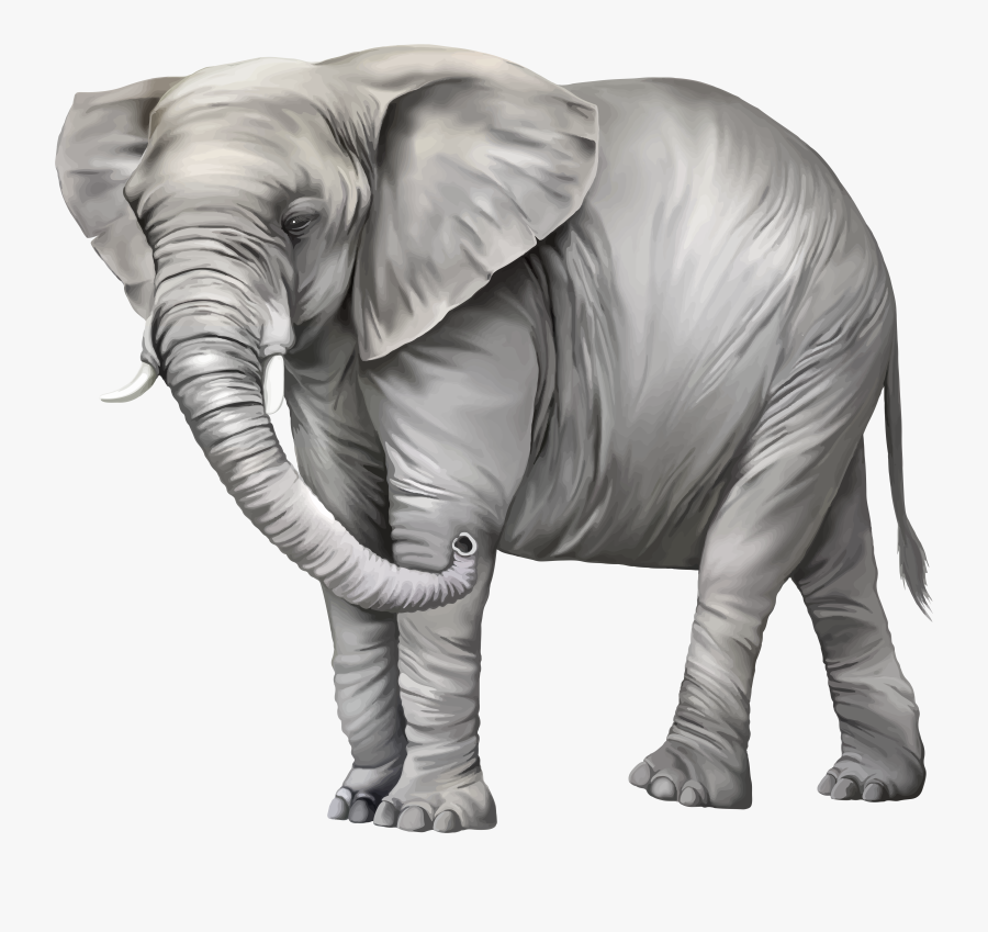 Elephant Png Clipart, Transparent Clipart