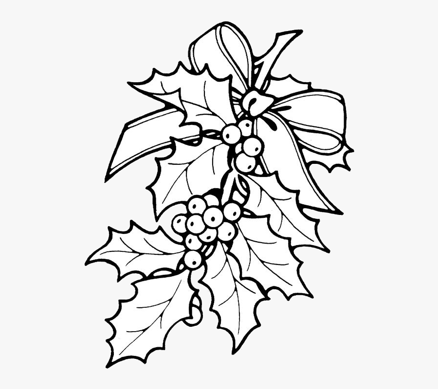 Clip Art Printable Ornament Patterns Holly - Christmas Holly Coloring Pages, Transparent Clipart