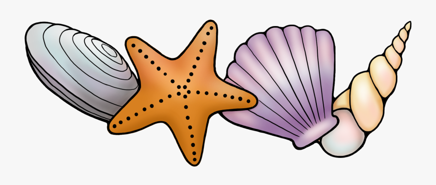 Picture Royalty Free Stock Wink Ink Sally Sells - Transparent Background Seashells Clipart, Transparent Clipart