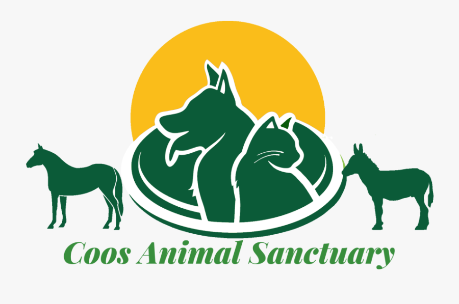 Favimage Png Ⓒ - Veterinarian, Transparent Clipart