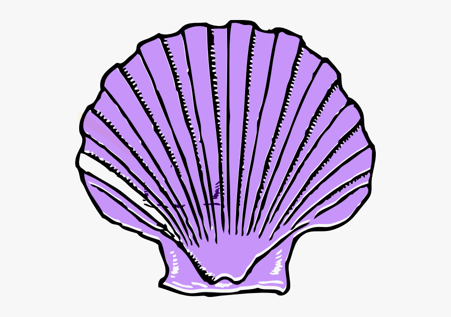 Shell Clipart, Transparent Clipart
