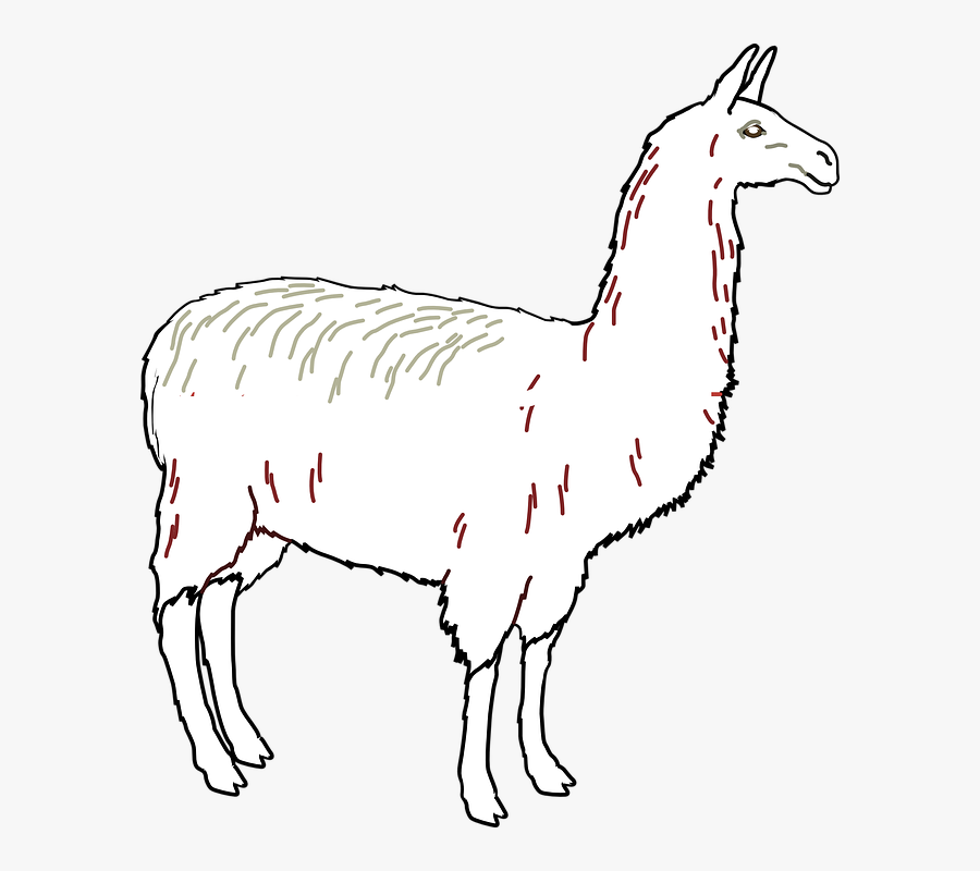 Llama Outline Clean Clip Art At Clker - Llama En Blanco Y Negro, Transparent Clipart