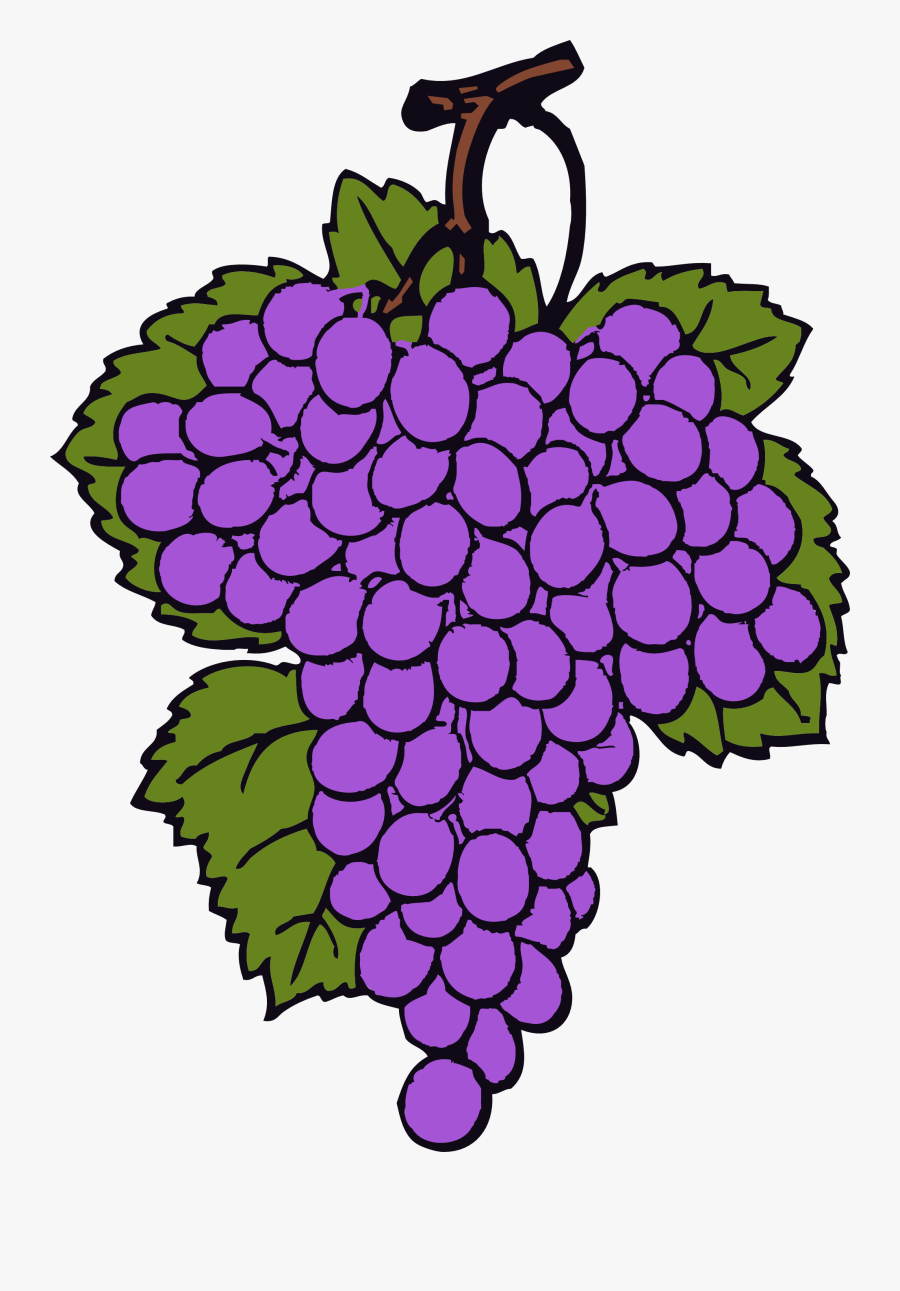 Wine Grapes Free Clipart Images - Joshua And Caleb Verse, Transparent Clipart