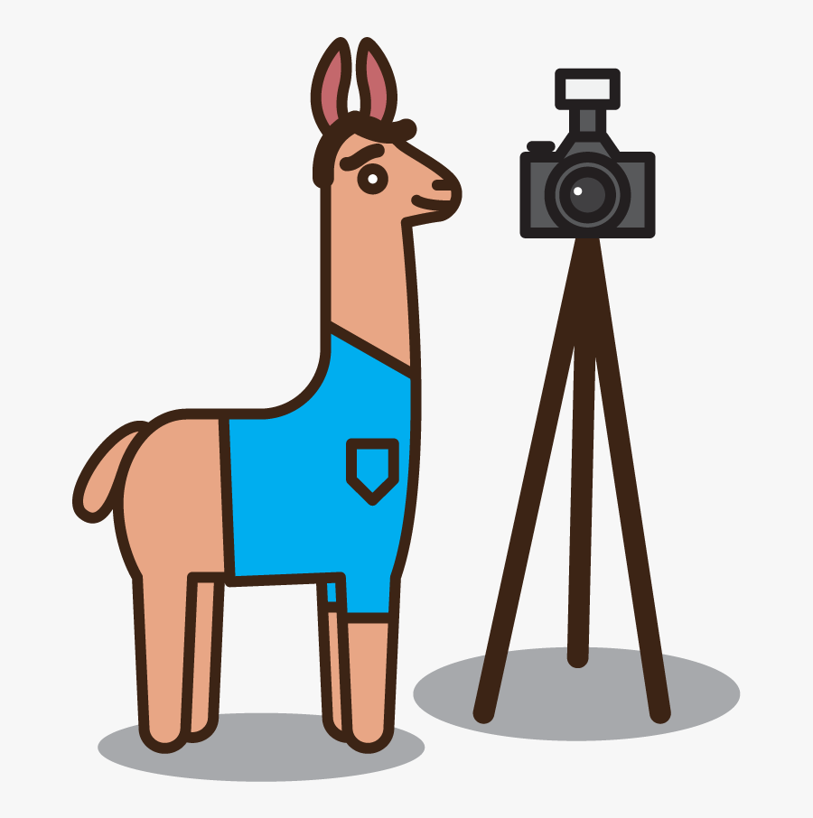 An Illustrated Cartoon Llama With A Camera On A Tripod - Cartoon, Transparent Clipart