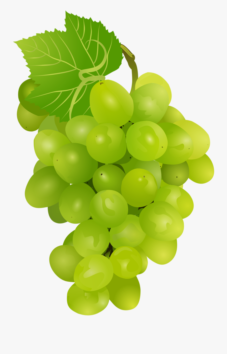 Seedless Fruit, Transparent Clipart