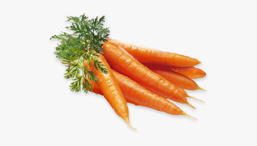 Carrot, Green Bites Cafe San Jose Meal Prep Fitness - Gulrøtter Gulrot, Transparent Clipart