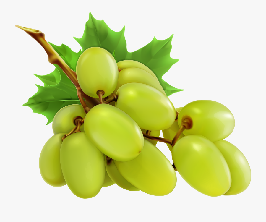 White Grapes Png Clipart - Green Grapes Clipart Png, Transparent Clipart