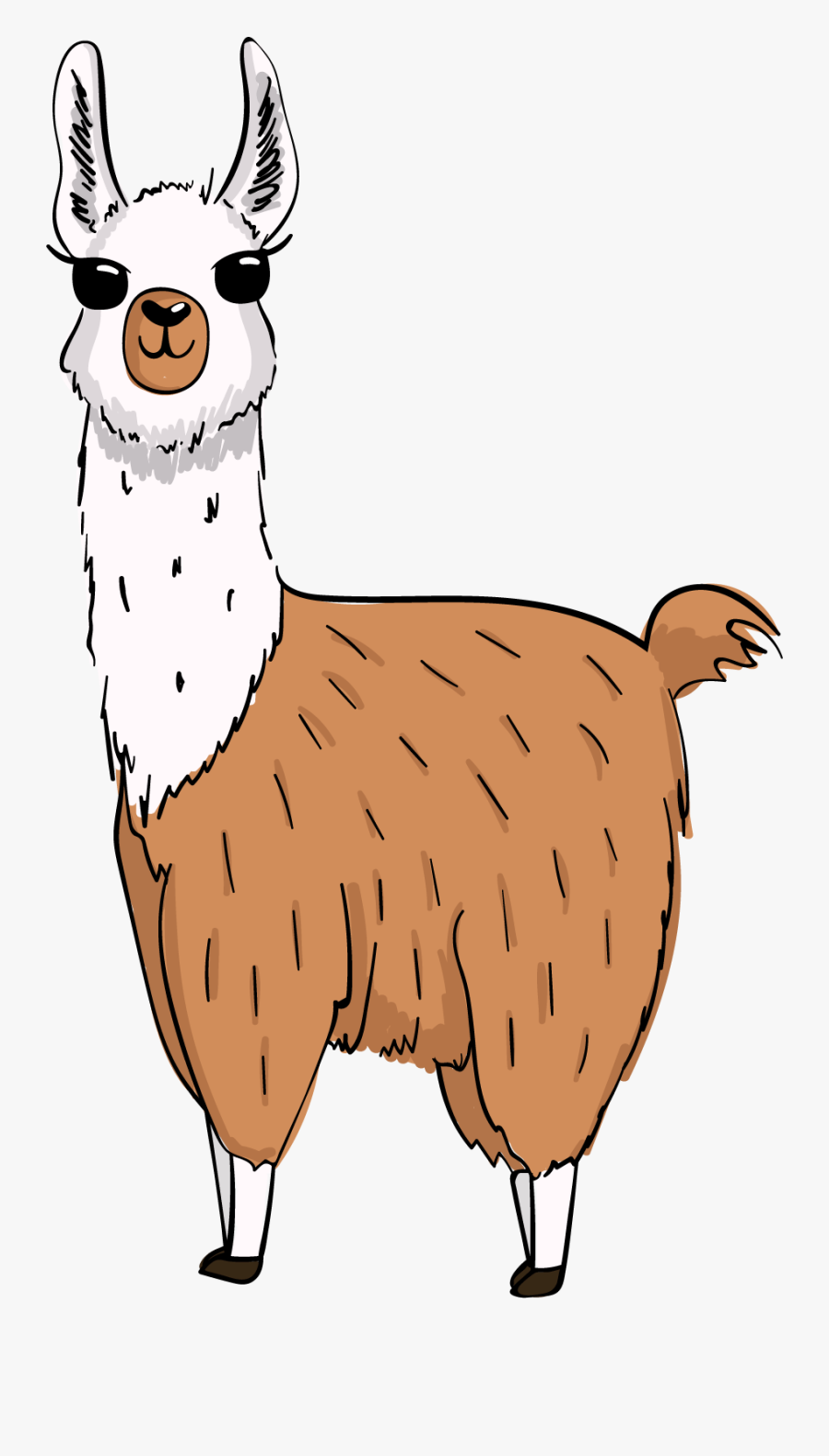 Llamas Llama Animals Ftestickers - Free Llama Head Clipart, Transparent Clipart