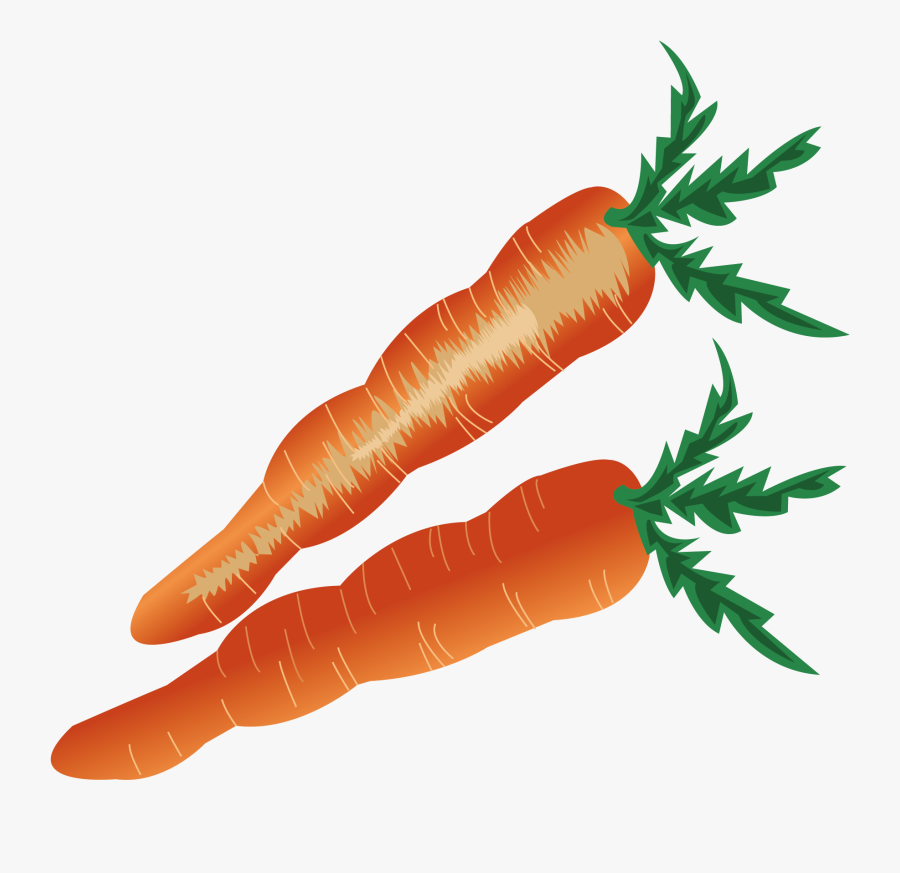 Baby Carrot Vegetable - Carrot, Transparent Clipart