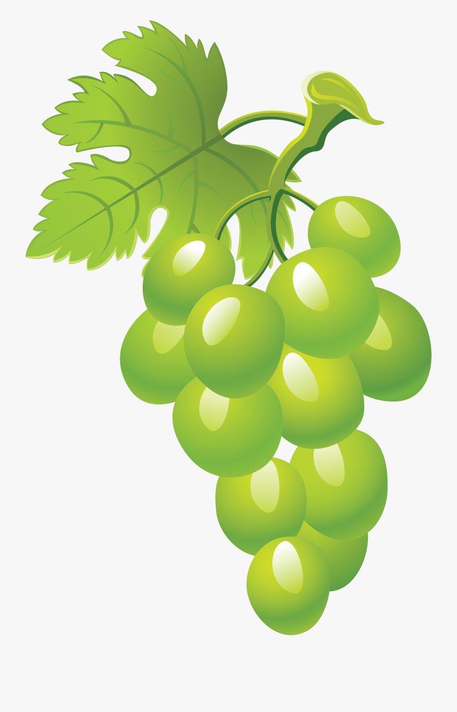Grapes Clipart 2 Png - Green Grape Clipart Png, Transparent Clipart