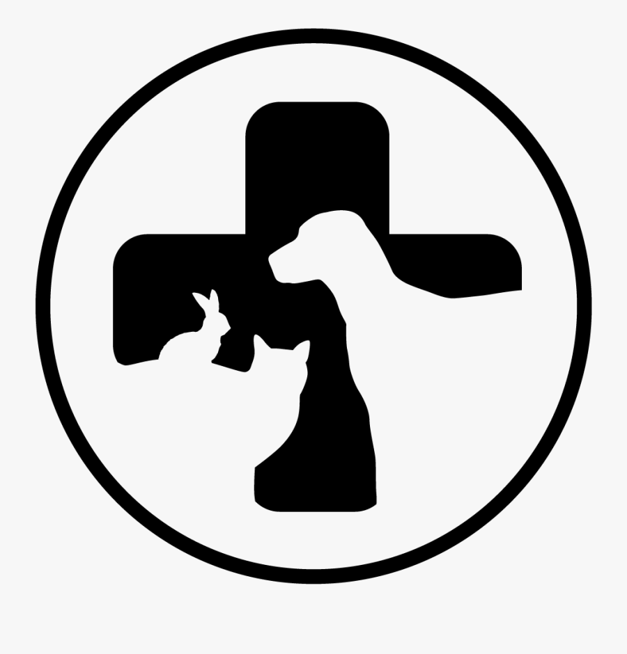 Christina Started Working At Shamrock In September - Vet .png, Transparent Clipart