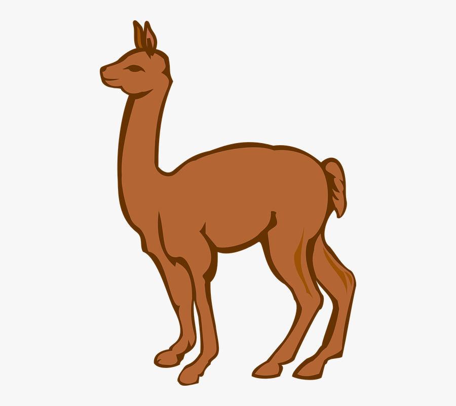 Llama, Creature, Farm, Animal, Brown, Vertebrate - Lama Clip Art, Transparent Clipart