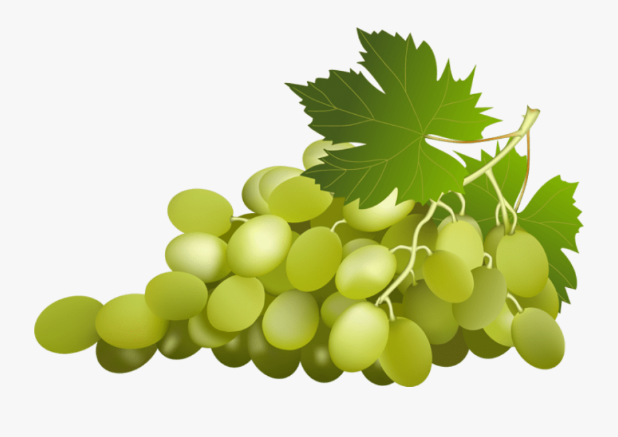Download Green Grapes Clip Art Png For Designing Use - Green Grapes Vector Png, Transparent Clipart