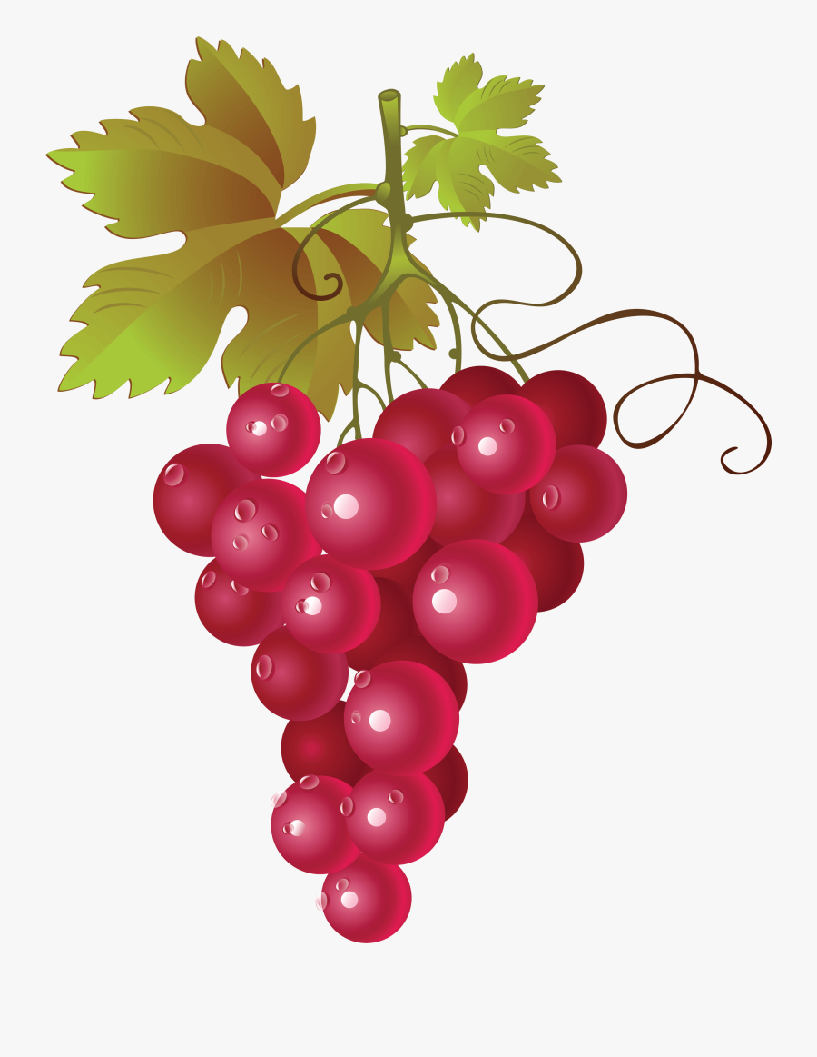Grapes Clipart - Red Grapes Vector Png, Transparent Clipart
