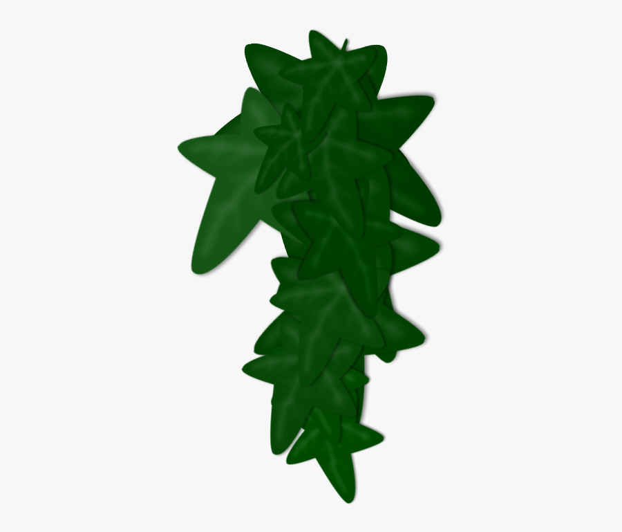 Transparent Clip Art - Poison Ivy Plant Png, Transparent Clipart