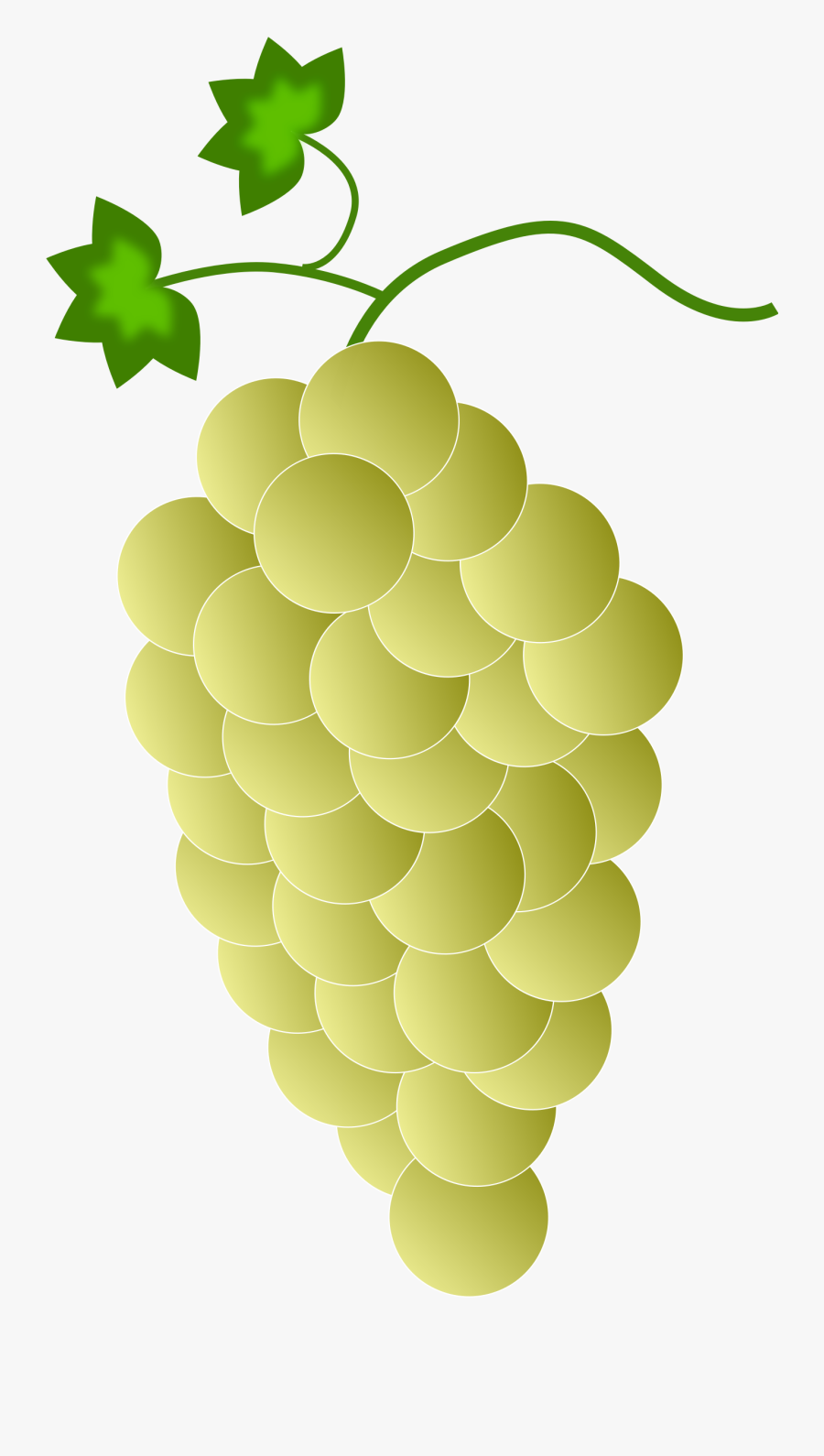 Grapes Clipart Ten - Purple Grapes, Transparent Clipart