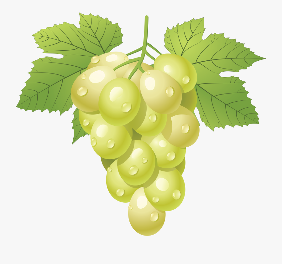 Grape Png3 Png - Grapes Clipart Png, Transparent Clipart