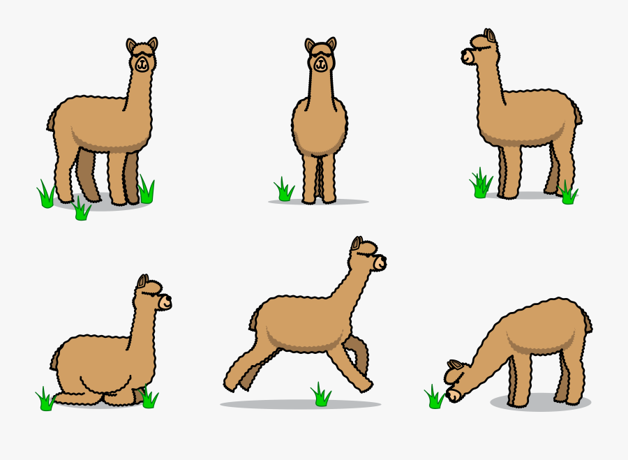 Llama Clipart Animal American - Cartoon Alpaca Transparent Background, Transparent Clipart