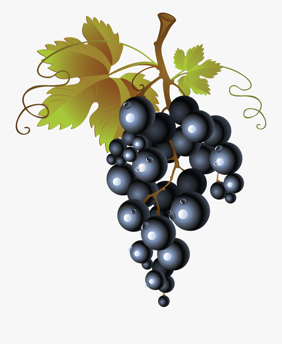 Transparent Vines Clipart - Grapes Transparent Background, Transparent Clipart