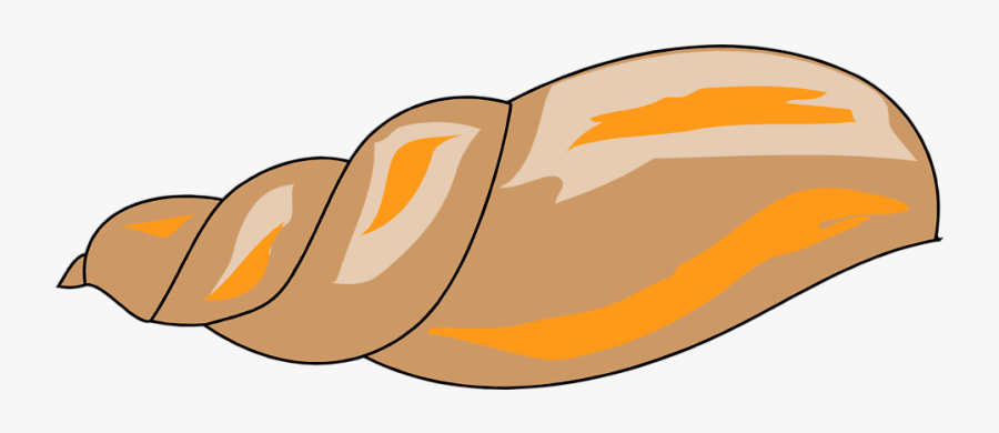 Sea Shells Clipart Transparent Background - Shells Clipart In Transparent Background, Transparent Clipart