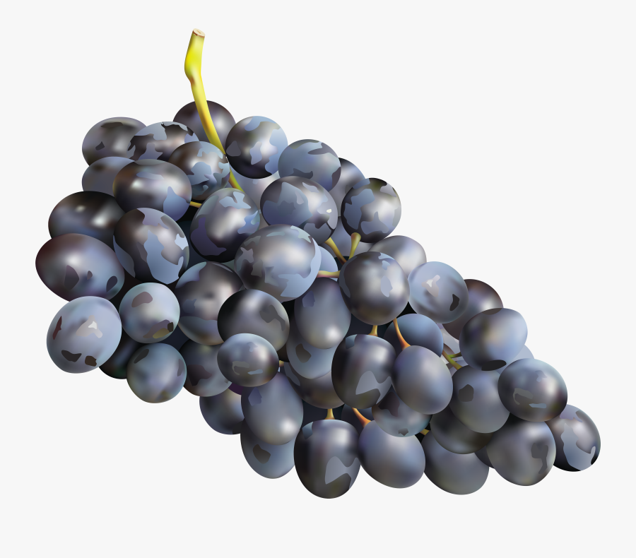 Grapes Clipart High Resolution - Grape Png, Transparent Clipart