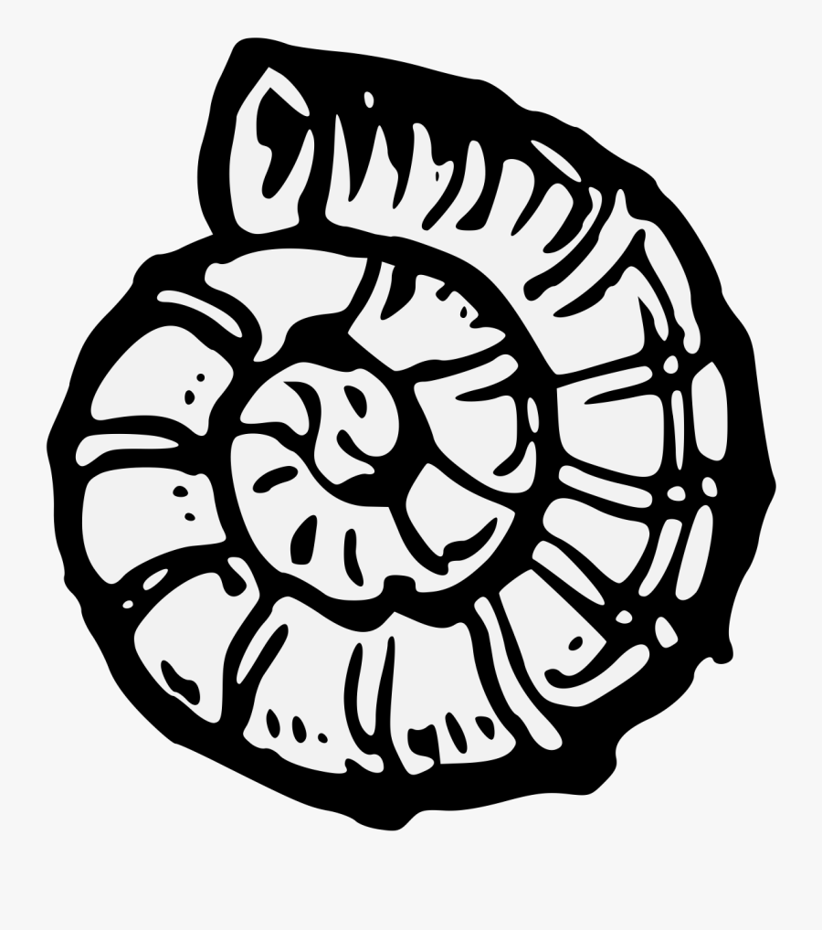 Details, Png, Transparent Clipart