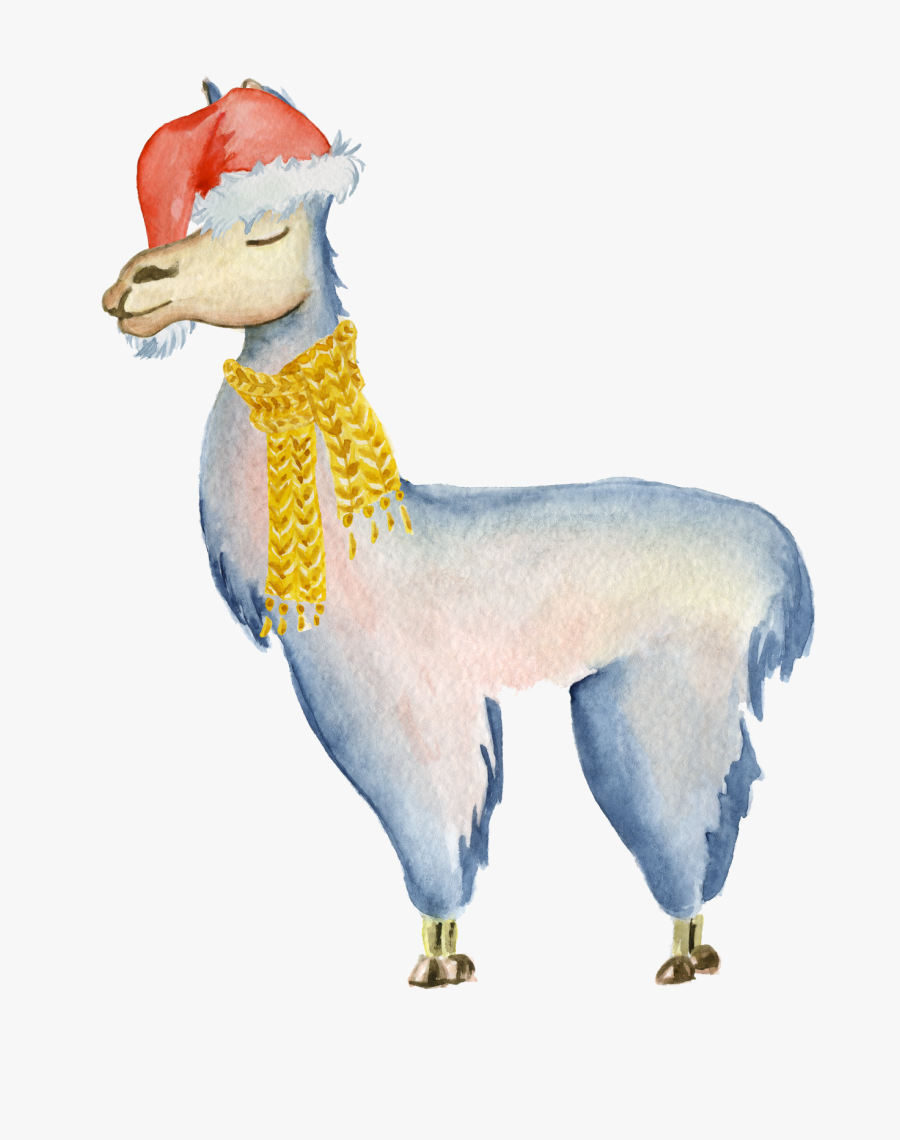 Clip Art Alpaca Drawing Transprent Png - Llama Watercolor, Transparent Clipart