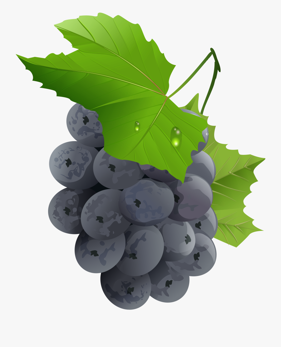 Grapes Transparent Png Clip Art Imageu200b Gallery, Transparent Clipart