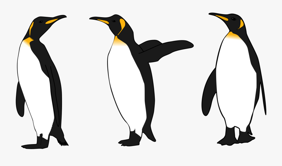 Transparent Emperor Penguin Png - Realistic Penguin Clip Art, Transparent Clipart