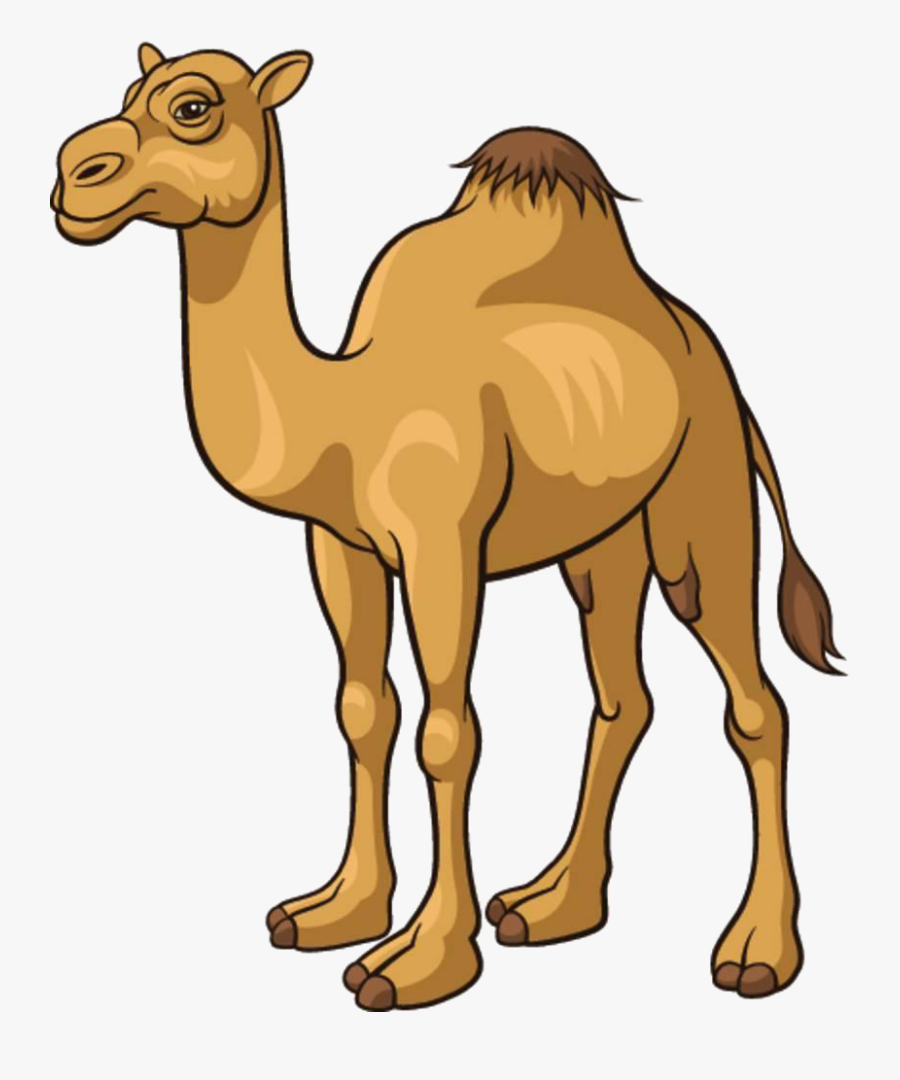 Cartoon Camel, Transparent Clipart