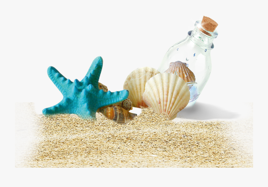 Drift Bottles Beach Bottle Shells Free Clipart Hq Clipart - Shell On The Beach Png, Transparent Clipart