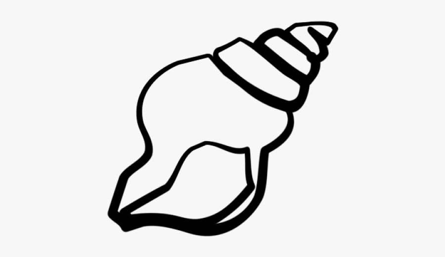 Black Clipart Seashell - Seashell Clipart Black And White, Transparent Clipart