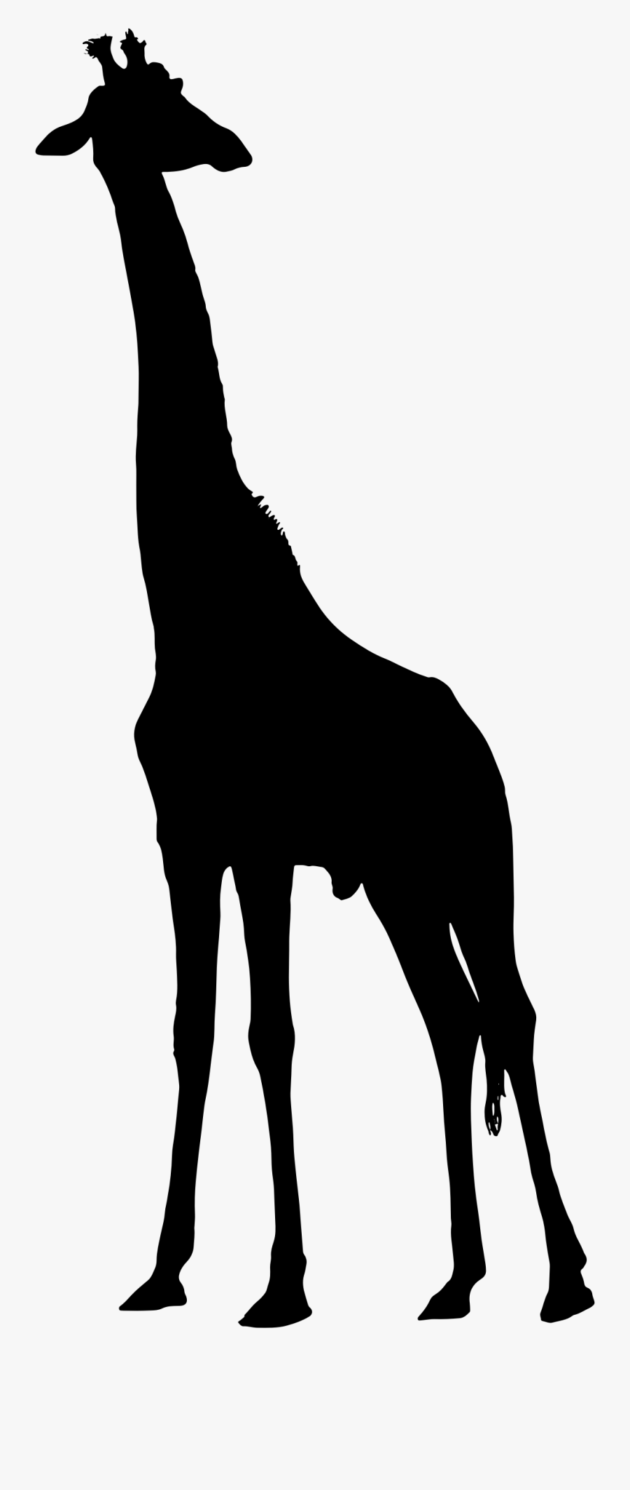 Giraffe Silhouette Clip Art At Getdrawings - Giraffe Silhouette Clipart Png, Transparent Clipart